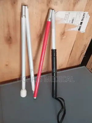 Blind Walking Stick