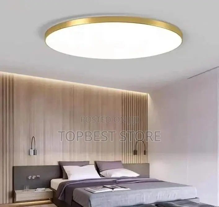 Interior Rooms Decor Led Flush Light
