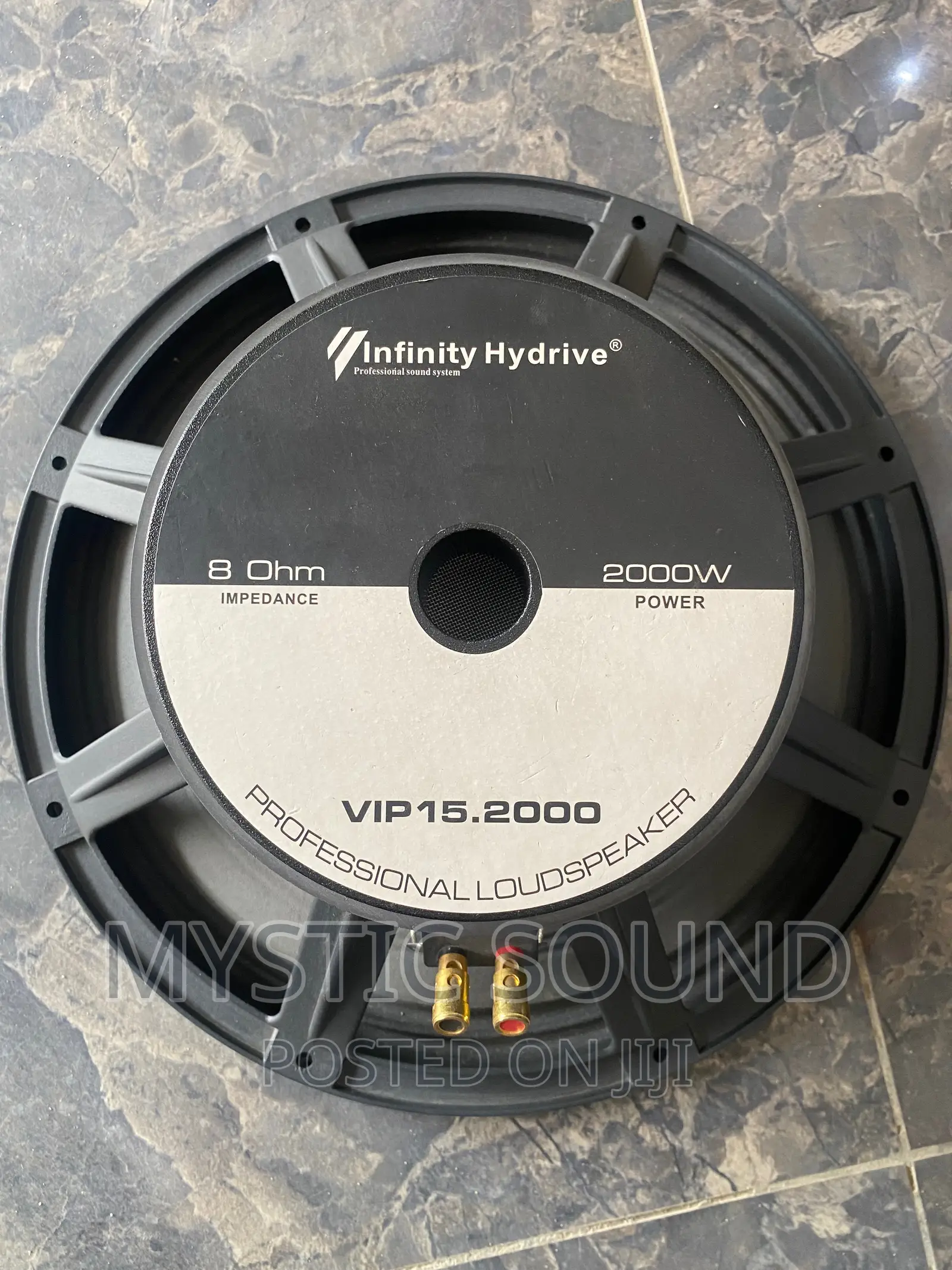 Infinity 15inches Naked Speaker