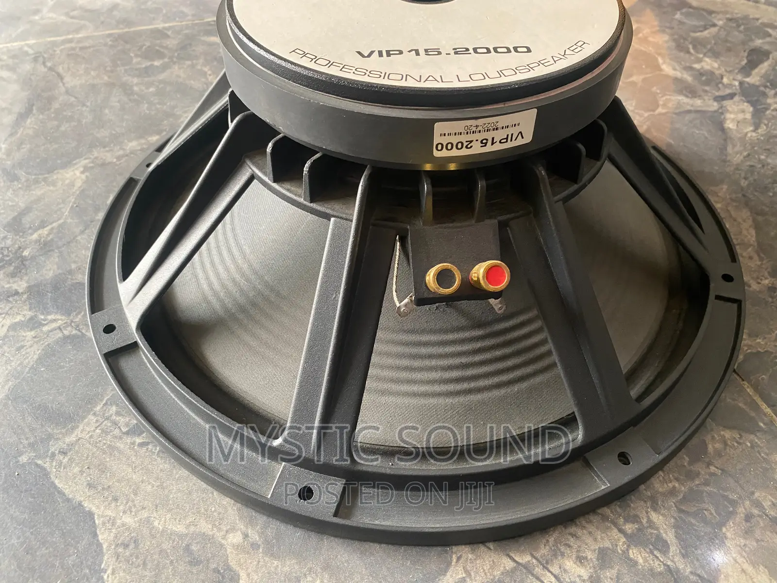 Infinity 15inches Naked Speaker
