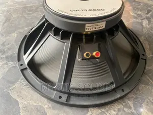 Infinity 15inches Naked Speaker