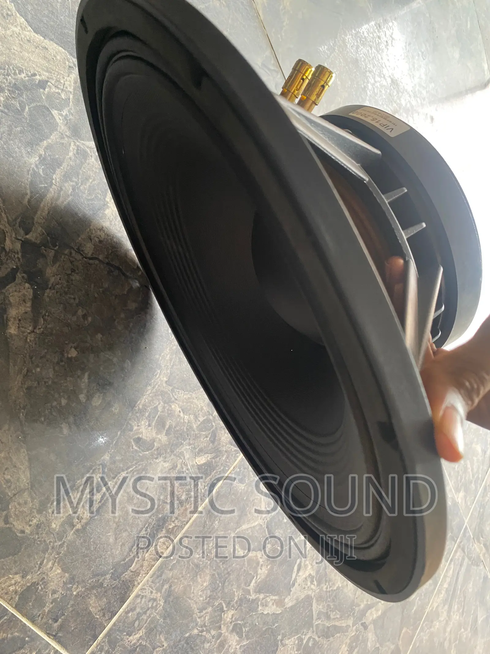 Infinity 15inches Naked Speaker