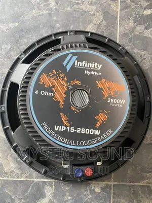 Infinity USA 15 Inches Naked Speaker