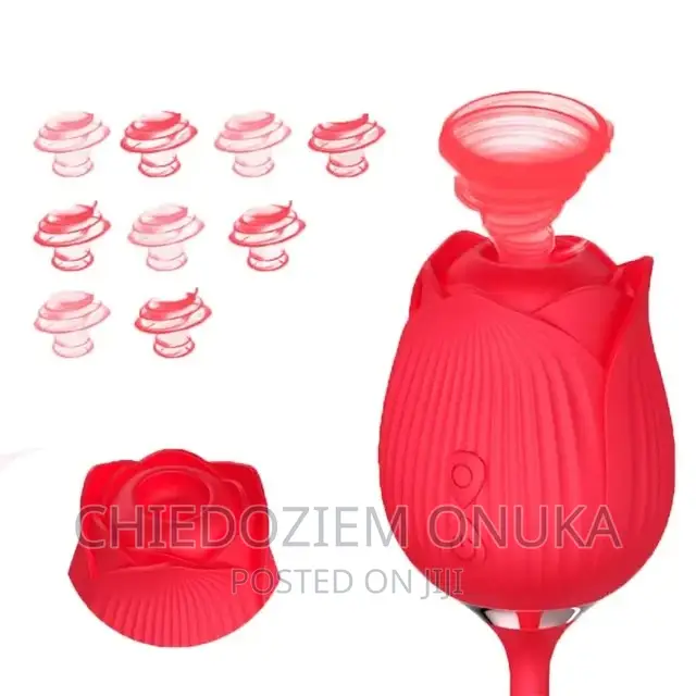 2 in 1 Rose Toy