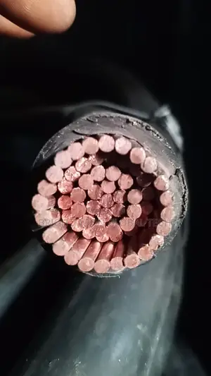 500mm Nigerchin PVC PVC Armoured Cables and Wires