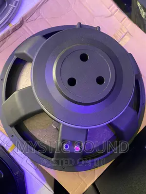 Msd.X18 Naked Speaker
