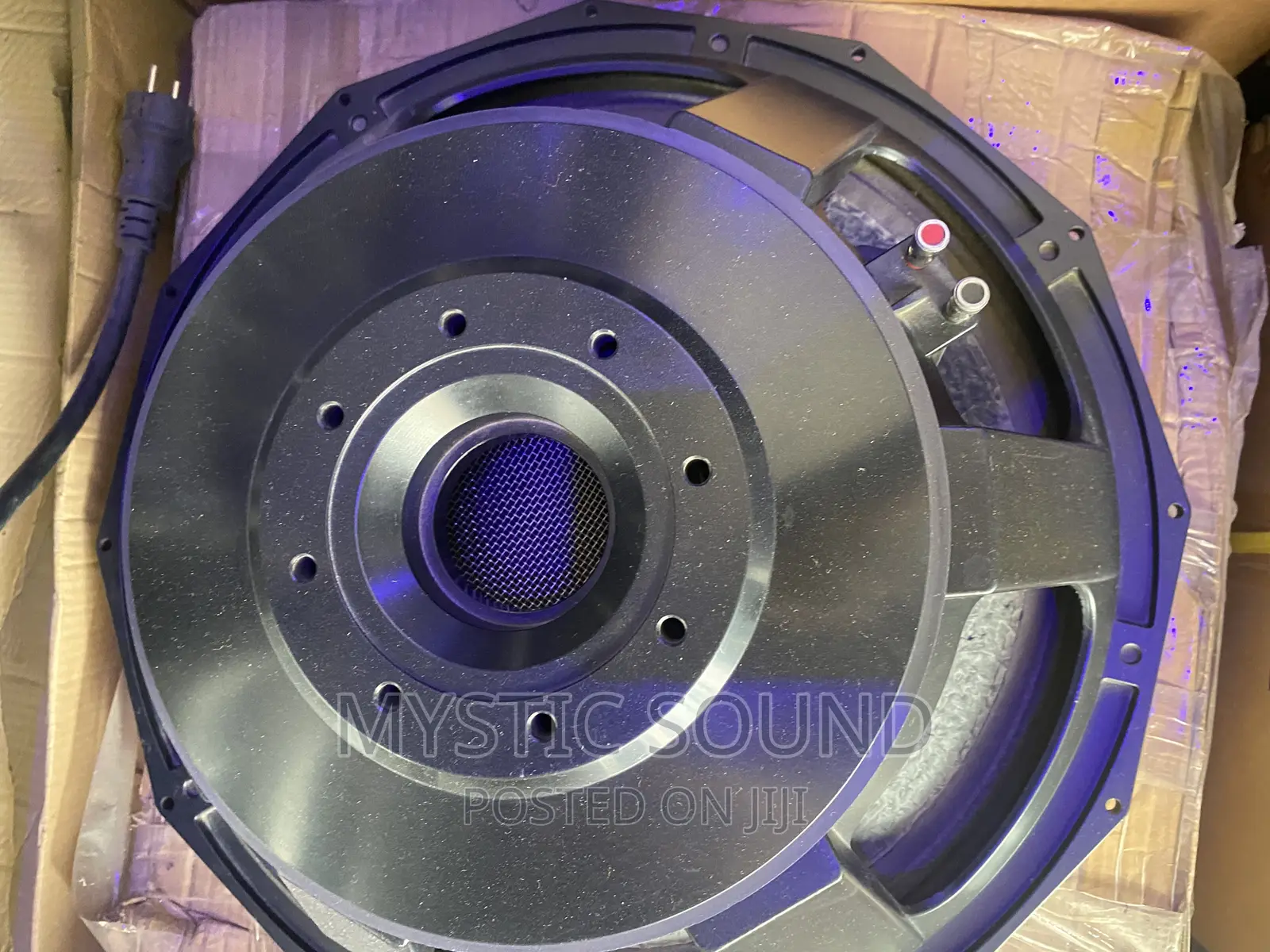 21 Inches Naked Speaker