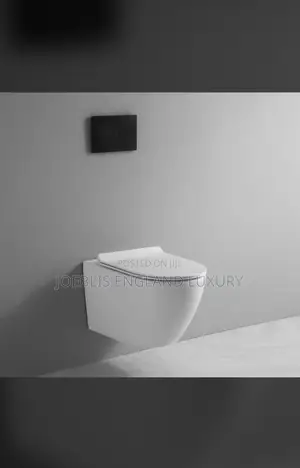 Wall Hung Water Closet