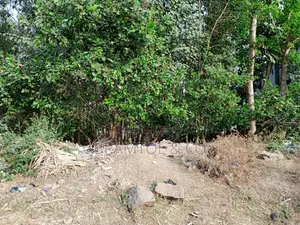 2000sqm Cofo Residential Plot, Buy, Build and Live