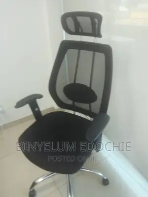 Egornomic Office Chair