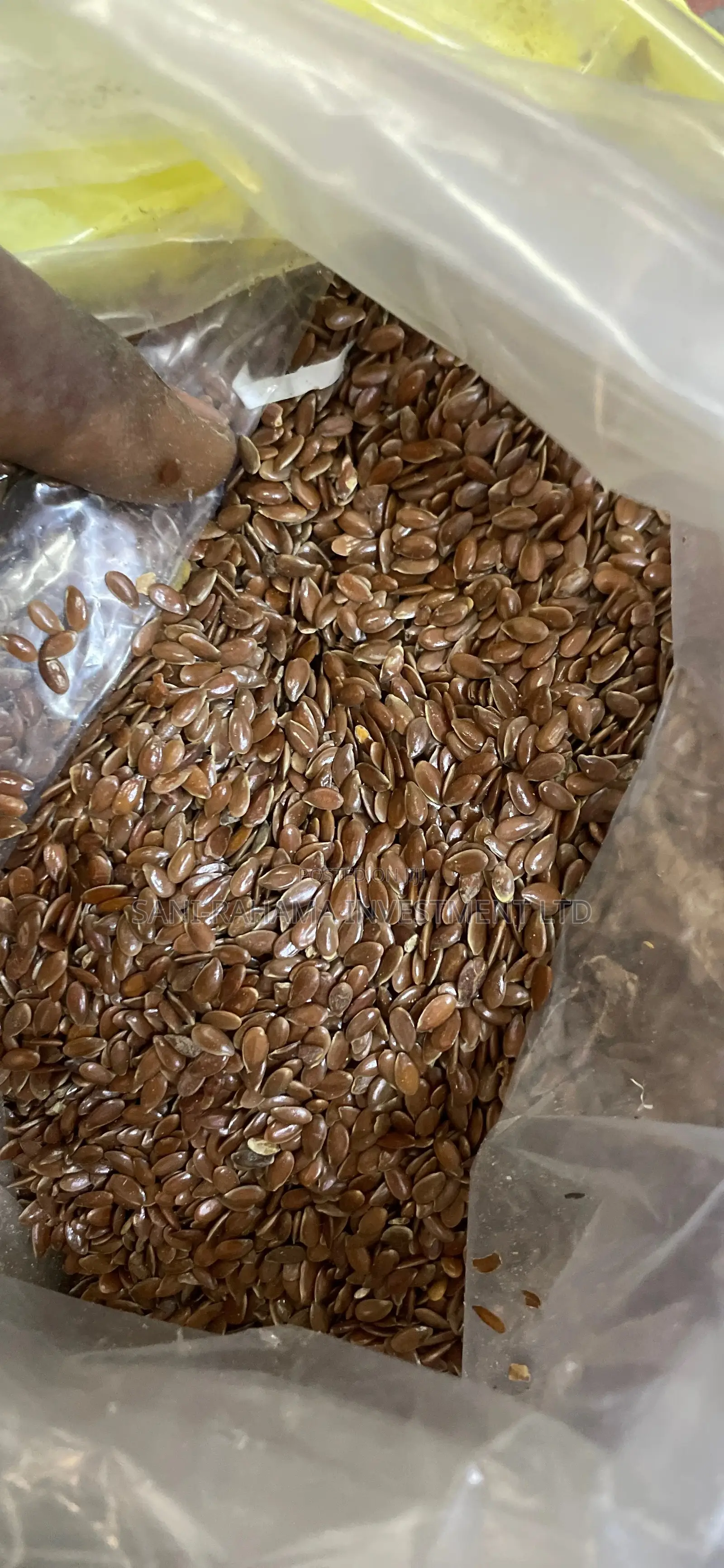 Flaxseed ( Flax Seeds)
