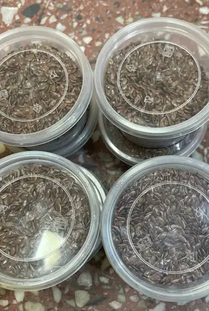 Flaxseed ( Flax Seeds)