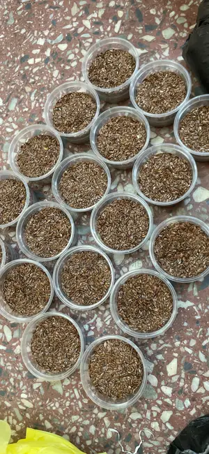 Flaxseed ( Flax Seeds)
