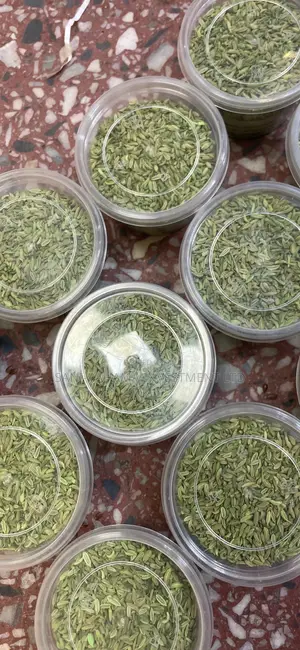 Fennel Seed ( Fennel Seeds)