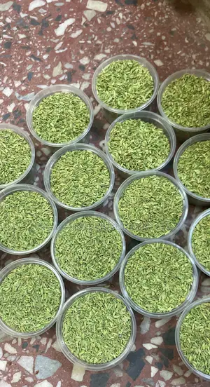 Fennel Seed ( Fennel Seeds)