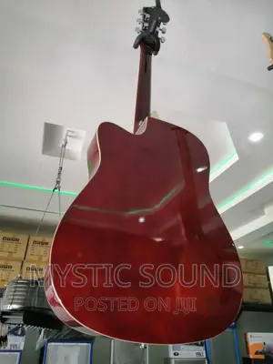Infinity Double Wood Box Guitar