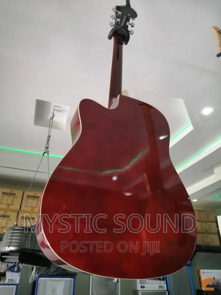 Infinity Double Wood Box Guitar