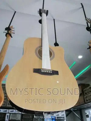 Infinity Double Wood Box Guitar