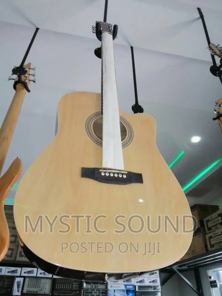 Infinity Double Wood Box Guitar