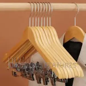 Clothes Hanger With Clips