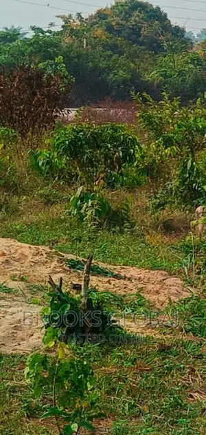 Land of 100/100 for Sale at Isiohor, Benin