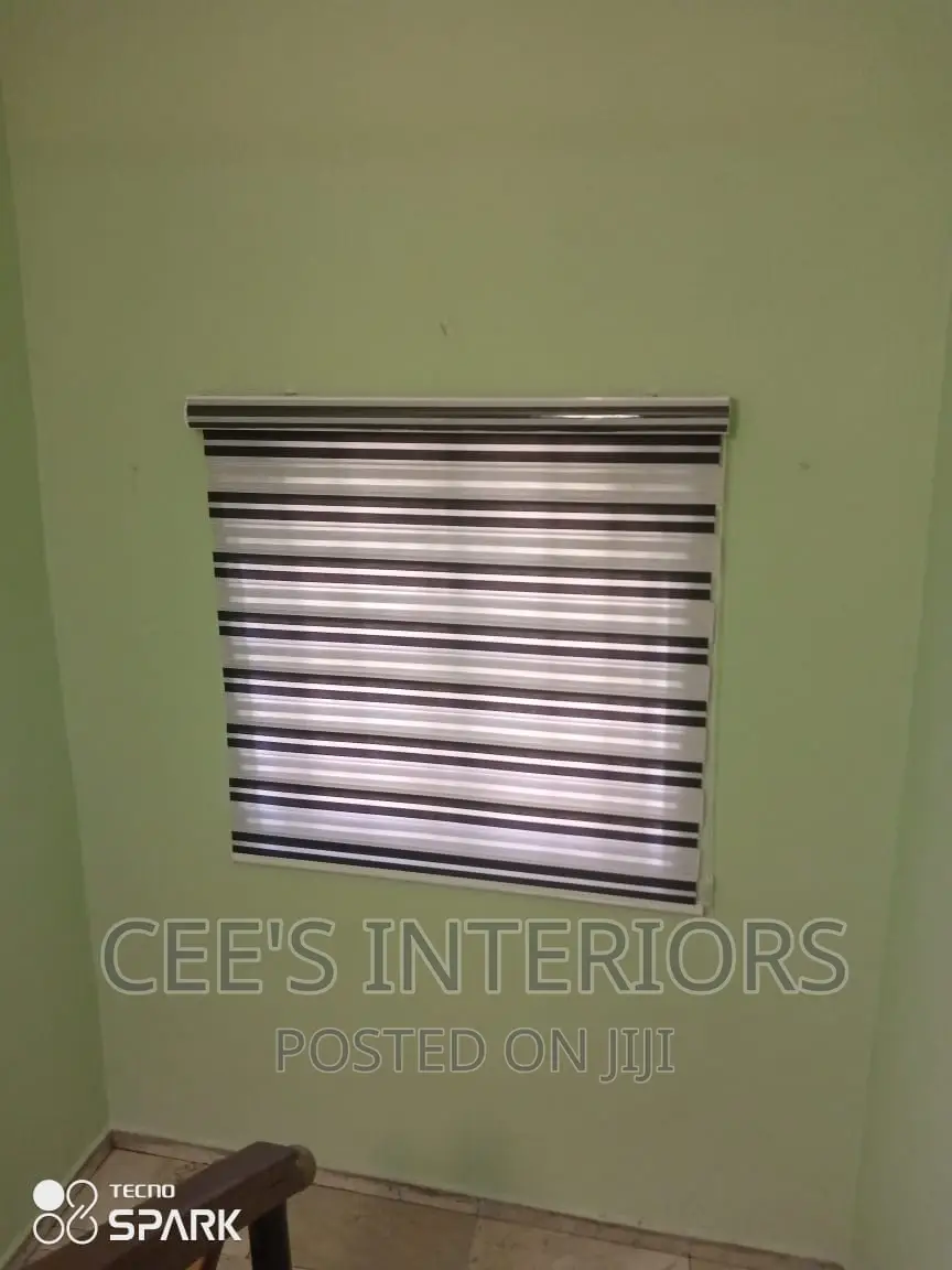 Day and Night Window Blinds