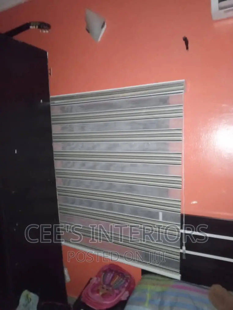 Day and Night Window Blinds