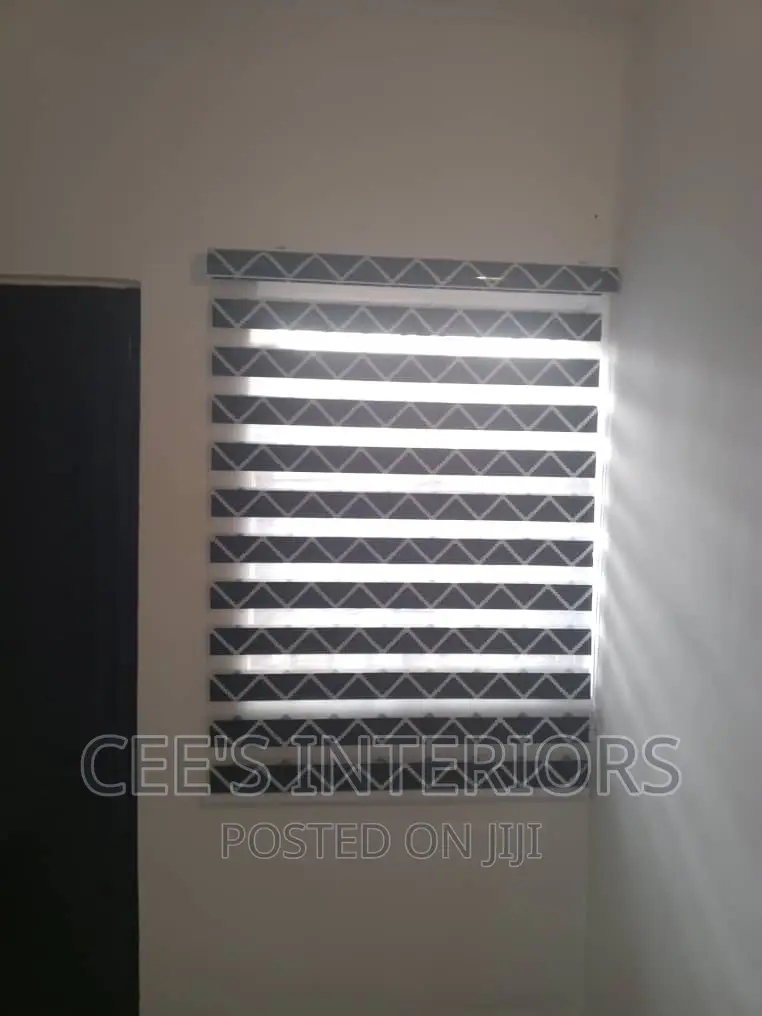 Day and Night Window Blinds