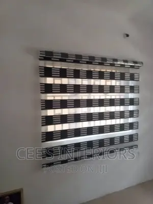 Day and Night Window Blinds.
