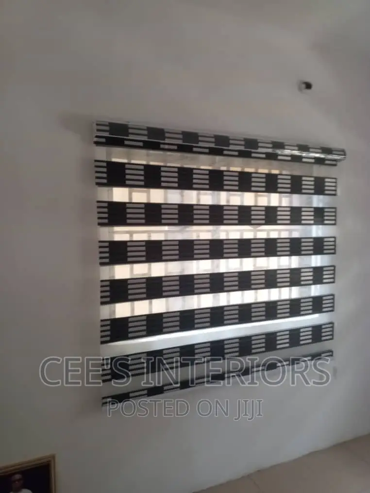 Day and Night Window Blinds.
