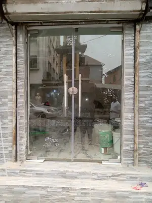 Frameless Double Leaves Swing Door Volume 10
