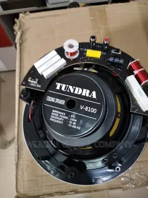 100w Ceiling Cross Over Speaker for Homes/Offices/Hotels