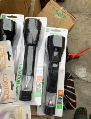 Security Hand Torch Light