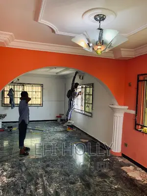Professional House Painter in Ibadan