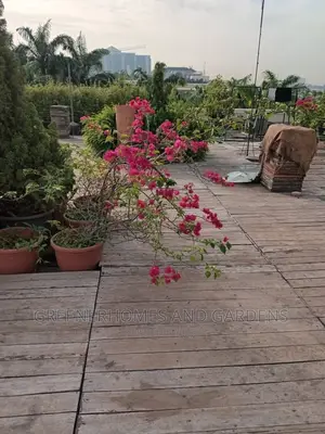 Outdoor Beautification