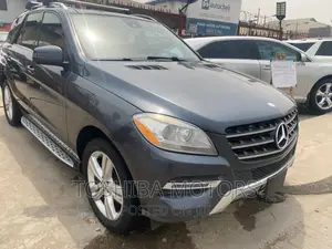 Mercedes-Benz M Class 2014 Gray