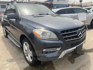 Mercedes-Benz M Class 2014 Gray