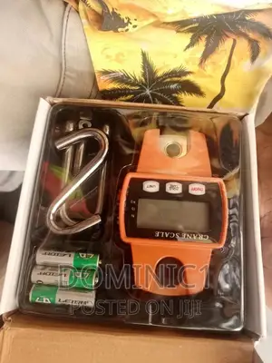Hanging Scale Mini Crane