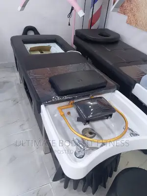 Brand New Professional Hair Washing Massage With Steamer