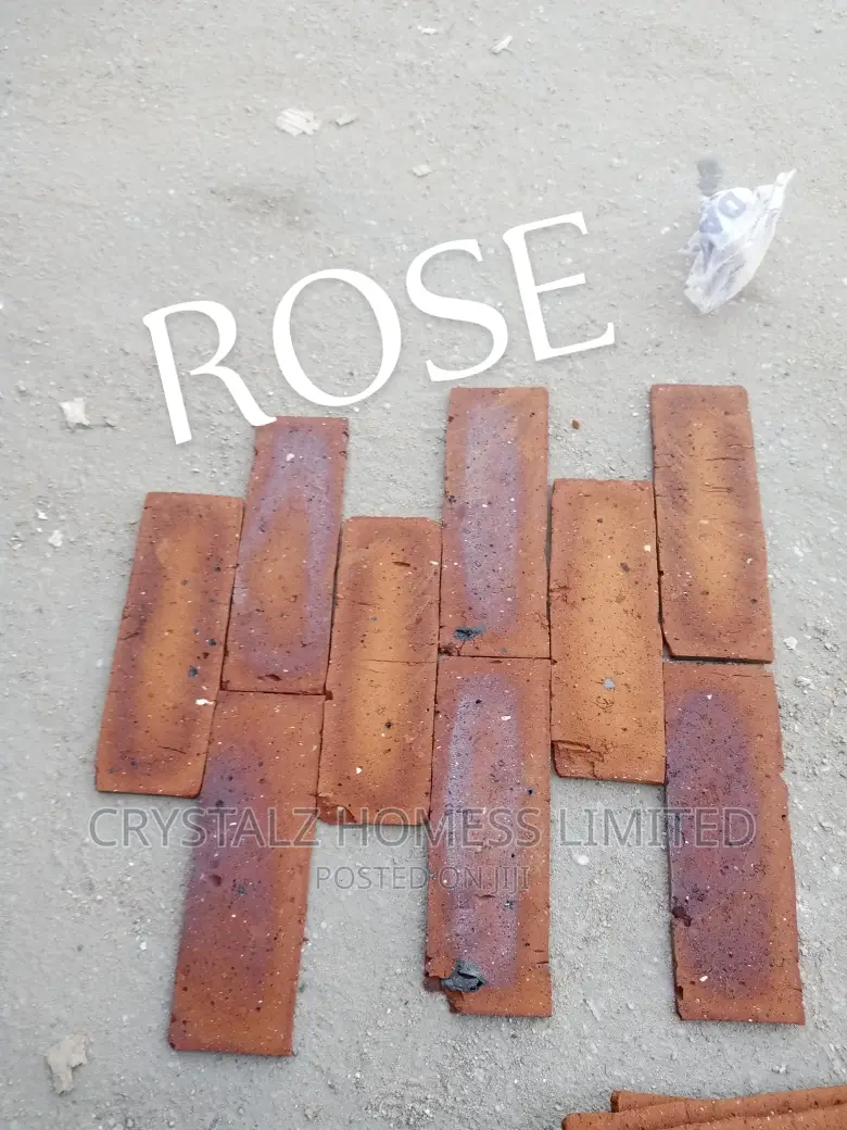 South Africa Bricks 07*30 Rose
