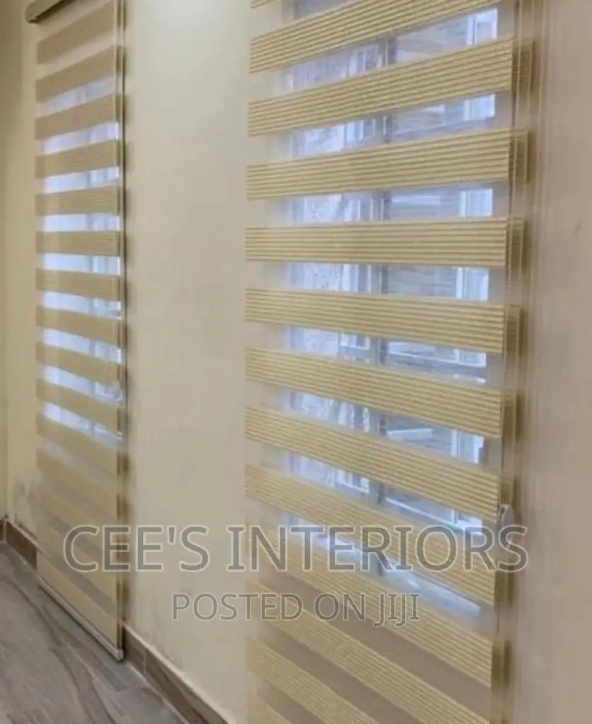 Day and Night Window Blinds