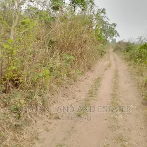 Land Urgently for Sale at Ijebu Ode at Cheaper Rate