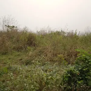 Land for Sale at Ijebu Ode at Cheaper Rate Close Epe