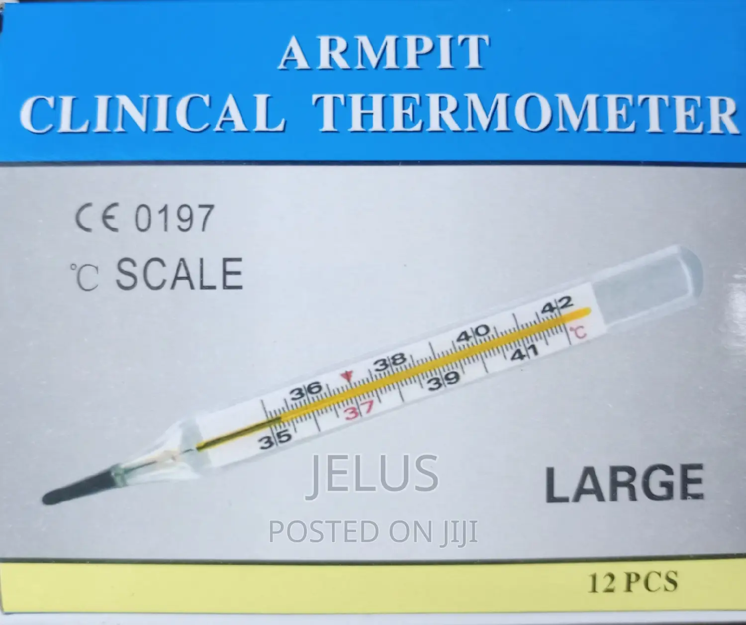 Clinical Thermometer LARGE