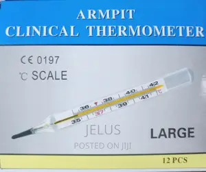 Clinical Thermometer LARGE