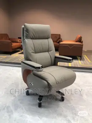 Executive Reclaim Chair