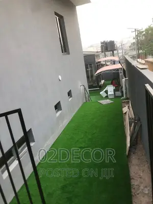 Artificial Grass for Walk Way