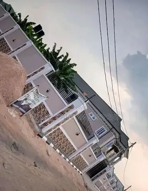 Professional House Painter Screeder Etc