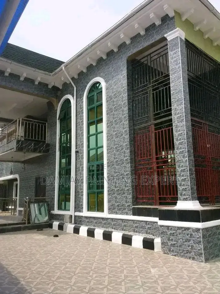 Professional House Painter Screeder Etc