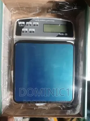 Electronic Kitchen Scale